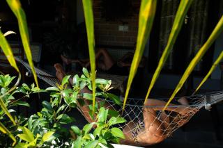 Birds of Paradise Surf and Yoga Boutique & Retreat - 3