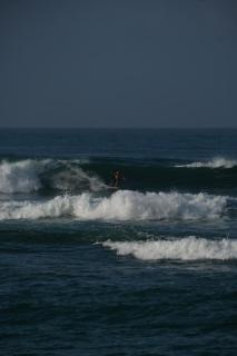 Birds of Paradise Surf and Yoga Boutique & Retreat - 8