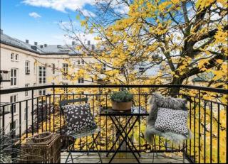 Spacious, modern apt in best part of town - 2