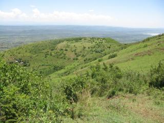 The Solace Subukia - 3