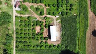 บ้านเลม่อนริเวอร์ไซด์ - 3