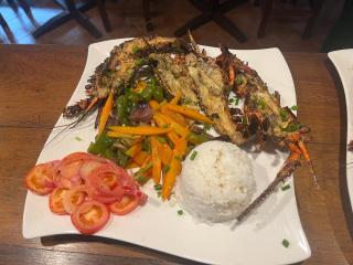 L hippocampe hôtel et Lodge Maroantsetra Madagascar - 3