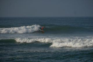 Birds of Paradise Surf and Yoga Boutique & Retreat - 1