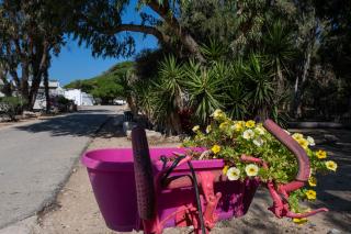 SPNI Achziv Field School - 8