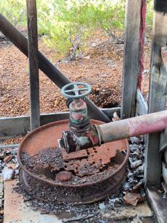 The May Queen - Footsteps in the Forest - 5