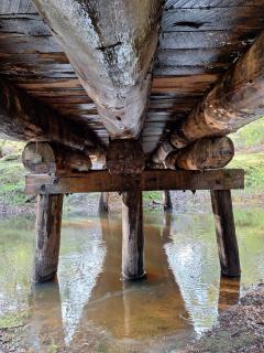 The May Queen - Footsteps in the Forest - 7