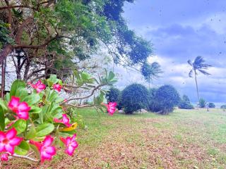 พฤกษาวารี รีสอร์ท - 0