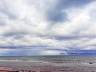 พฤกษาวารี รีสอร์ท - 4