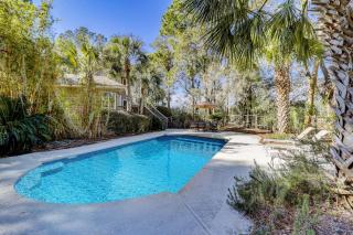 GI700: 700 Glossy Ibis - 1