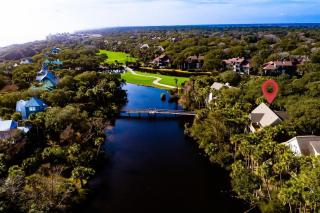 SM09: 9 Silver Moss - 6