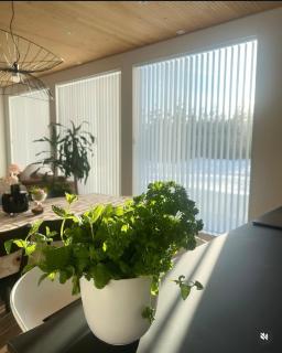 Home close to nature - 7