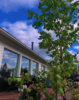 Home close to nature - 5