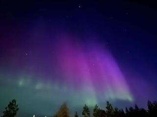 Home close to nature - 1