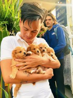 Dalat Peace Backpackers Hostel - 6