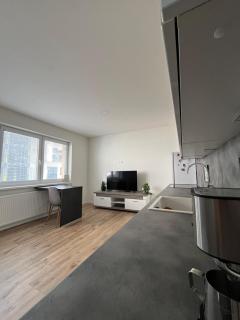 Central and Spacious Apartment with All Amenities - 3