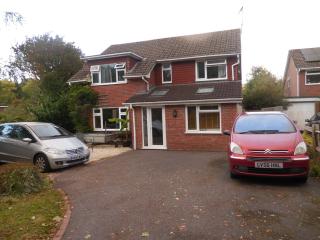 The Annexe, Kingston near Lewes - 8