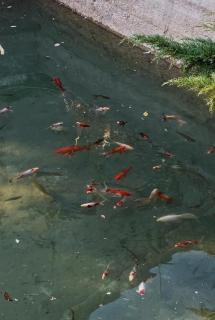 Гостевой дом - 9