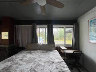 Cozy Volcanic Rainforest House - 9