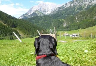 Gscheidegger Hütte - 8