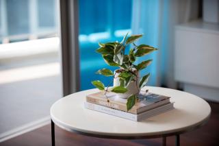 Deluxe Two Bedroom Hilton Apartment - 5