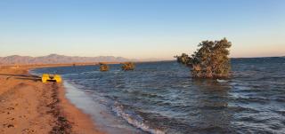 Palm dune Sanctuary - 4