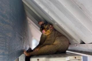 Kelly's Beach Resort - 5