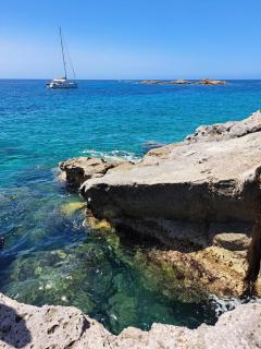 My Octopus House - 8