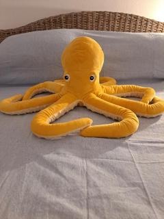 My Octopus House - 6