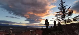 Leventis Art Suites - 2