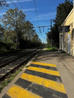 Jungle Cosy - Gare - Bus - Parking gratuit - WIFI - 9