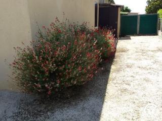 Le gîte de Gemma - 1