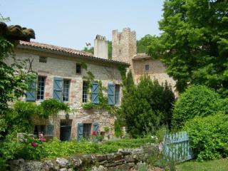 Maison de charme au pied de Cordes - 9