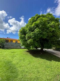 Villa F3 Les Bougainvilliers - 0