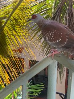 Sumanguru Airport Studios - 3