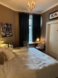 Cozy, quiet, central and classic - 4