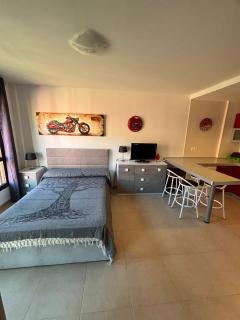 El Mocan Apartment Palm Mar - 5