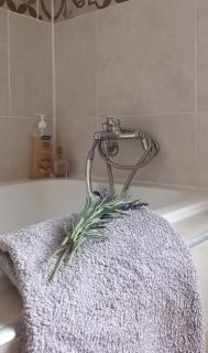 Azalea Guest Farm Cottage Pet Friendly - 0