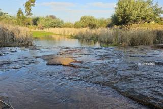 Azalea Guest Farm Cottage Pet Friendly - 3