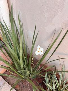 Recanto L I R A acomodações & Eventos - 4