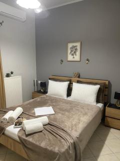 Vasilis Luxury Apartment - 1