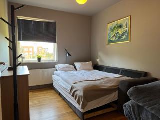 Modern 2BR Apartment with Balcony and Stunning Views - 8