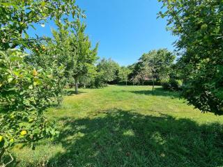 Spacious luxury farmhouse - 1