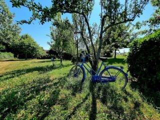 Spacious luxury farmhouse - 3
