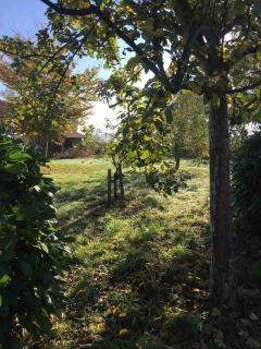 Spacious luxury farmhouse - 4