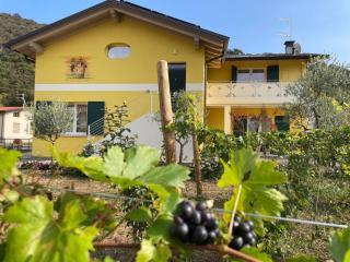 Sole e Luna nella Vigna - 0