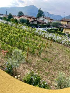 Sole e Luna nella Vigna - 8