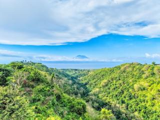 Ayu Hill Bungalows - 3