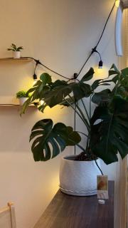 Heritage Echoes Home - Sai Gon Center View - 1