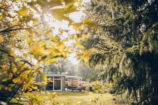 Boterbloem Wellness Chalet | 4 personen - 6