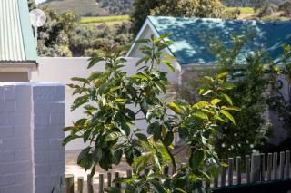 Patryssenvalleij Farm and Cottages - 7